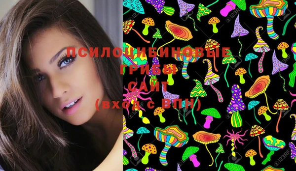 молекула духа Алзамай