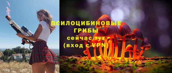 молекула духа Алзамай