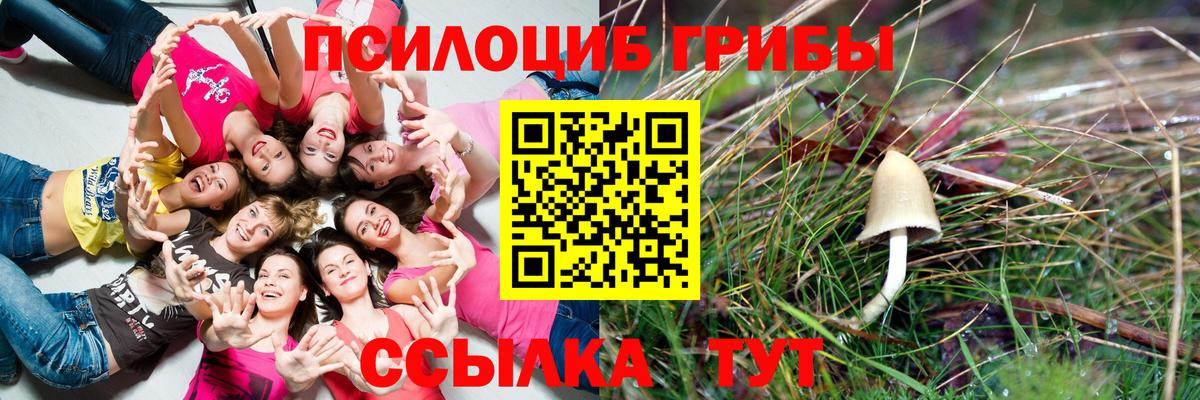 Псилоцибиновые грибы MAGIC MUSHROOMS  где можно купить наркотик  Крымск  Вход с VPN 